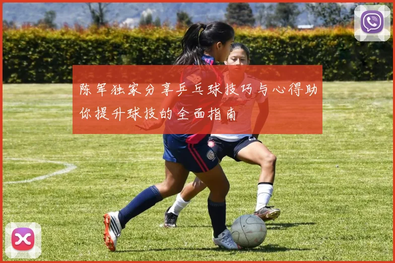 陈军独家分享乒乓球技巧与心得助你提升球技的全面指南