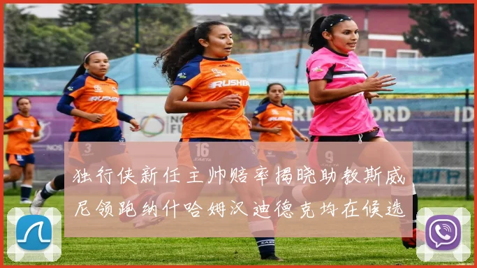 独行侠新任主帅赔率揭晓助教斯威尼领跑纳什哈姆汉迪德克均在候选之中