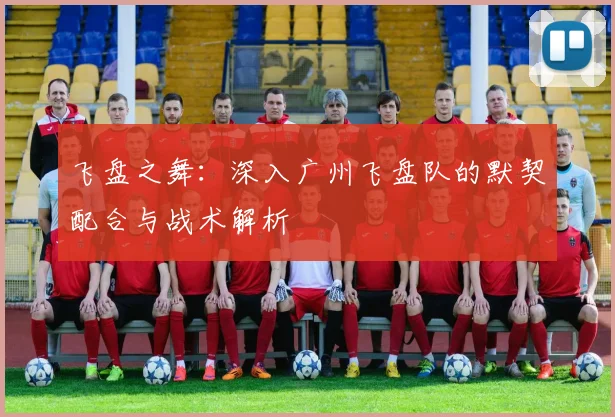 飞盘之舞：深入广州飞盘队的默契配合与战术解析