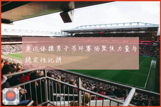 奥运体操男子吊环赛场聚焦力量与稳定性比拼