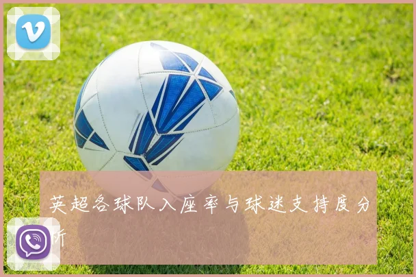 英超各球队入座率与球迷支持度分析
